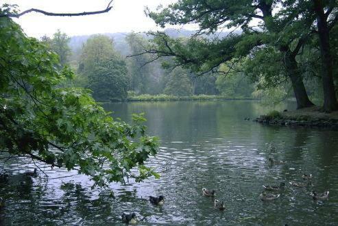 Ferienwohnung Und Pension Guertler Mohlsdorf ภายนอก รูปภาพ
